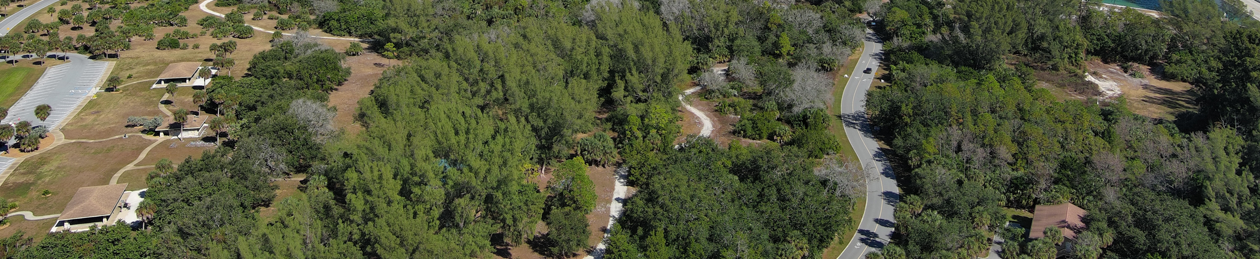 Land Development Surveys